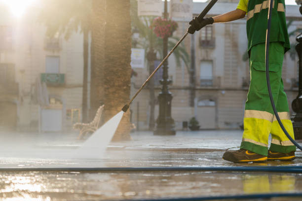 Best Roof Washing  in Lakewood Park, FL